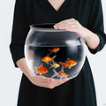 Geelin 1.5 Gallon Plastic Fish Tank Large Bowl Shatterproof with Crystal Clear Clarity for Terrarium, Flower Vase Centerpiece Gift for Fish Lovers(Round)