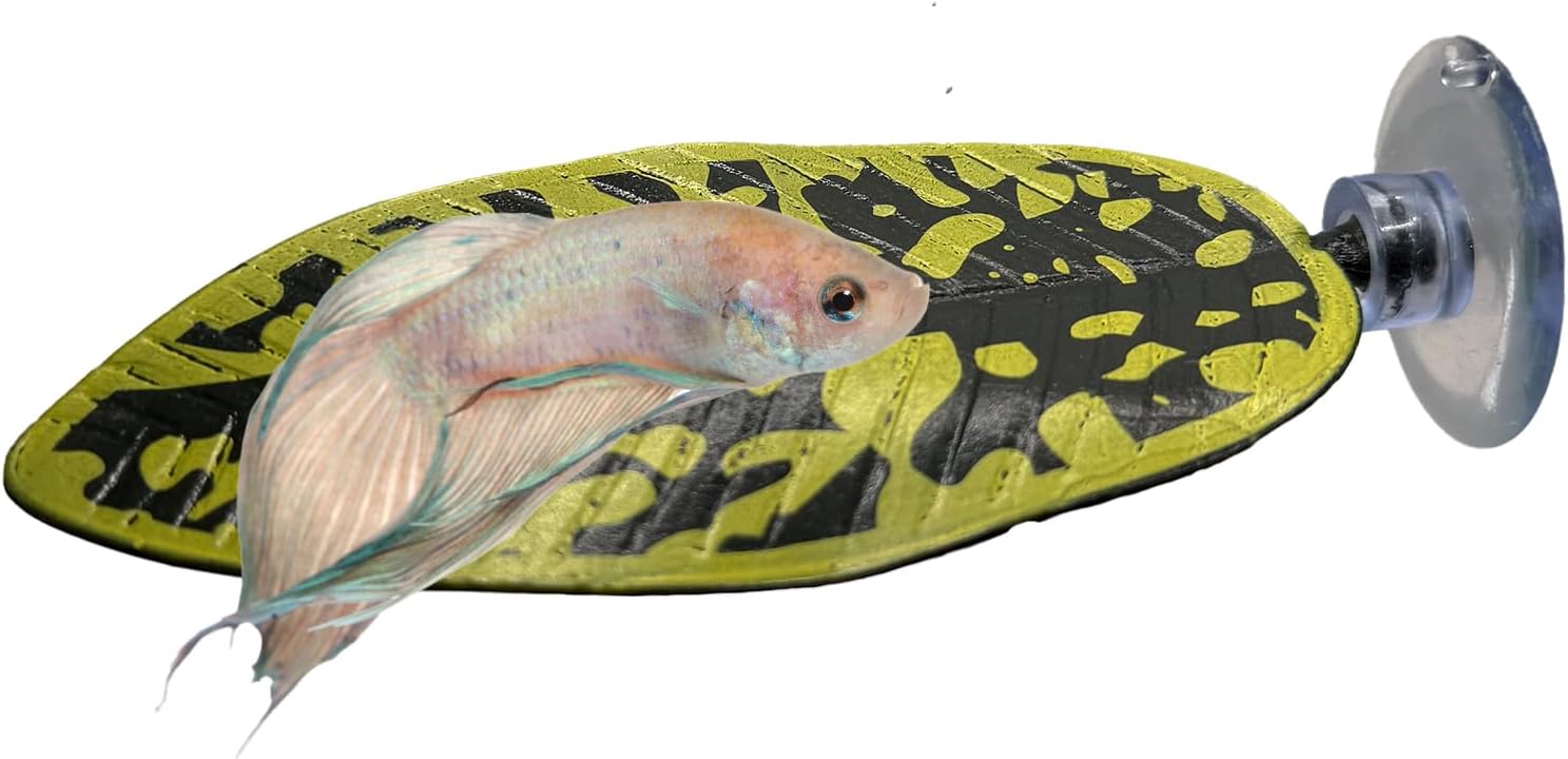 CTWPets Betta Fish Hammock, Aquarium Leaf Rest, Aquarium Betta Hide (Green)
