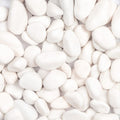 11lbs White Natural River Rocks, Polished Pebbles for Plants Garden, 1-2 inch Decorative White Stones, Ideal for Fish Tank, Vases, Crafting, Home Decor and Garden Landscaping Rocks,White