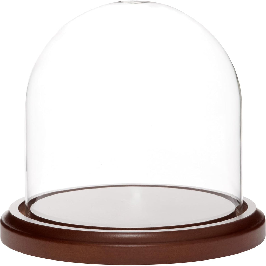 Plymor 5.5 inch x 5.5 inch Glass Display Dome Cloche (Dark Wood Base)
