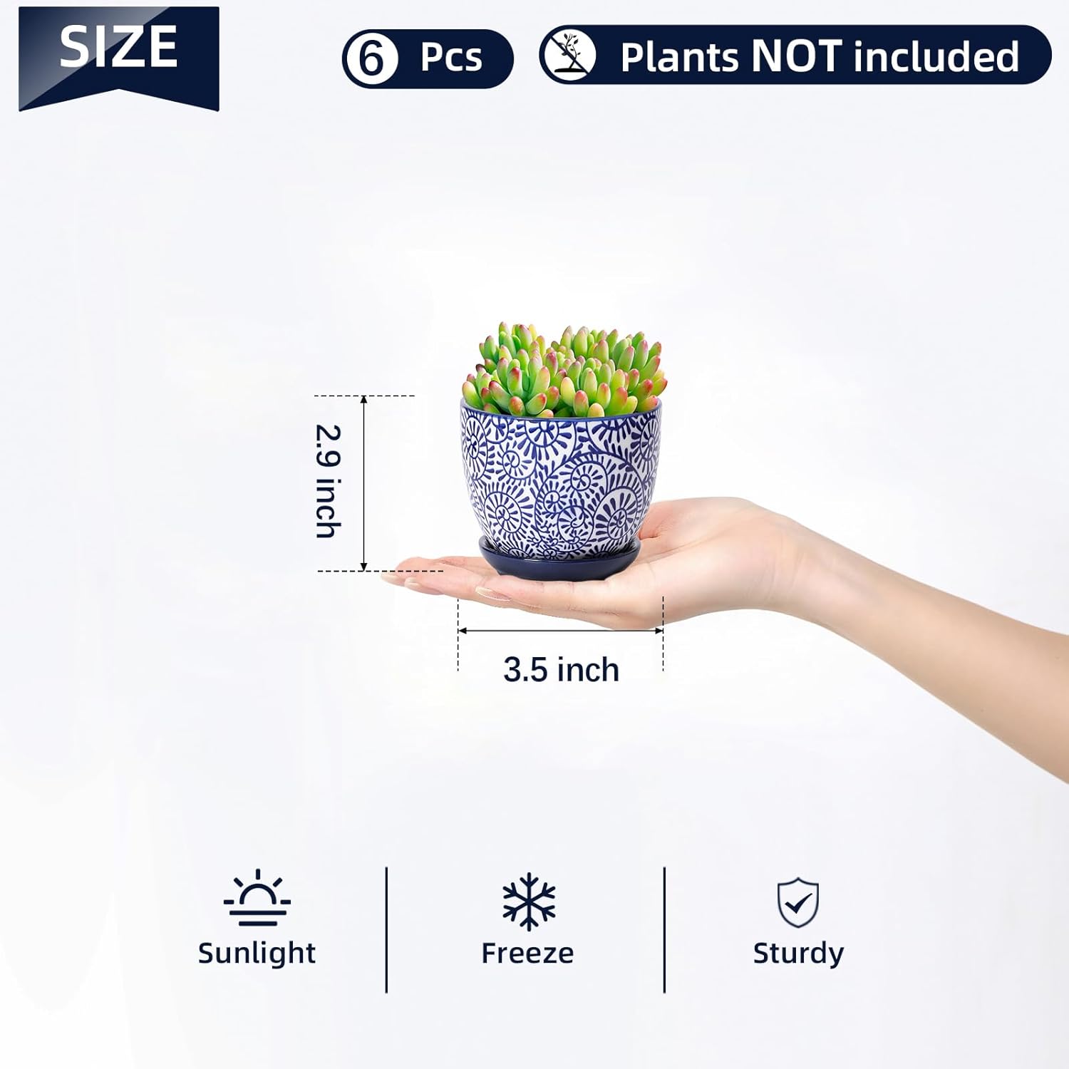 Selamica Ceramic Succulent Pots, 3.5 Inch Small Plant Pots for Indoor Plants Cactus Herbs, Succulent Planters with Drainage Holes & Saucers, Home Decor, Set of 6, Vintage Blue