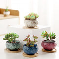 YYW Ceramic Plants Pots 3 Inch Set of 4 Flower Pots with Drainage and Bamboo Tray for Indoor/Outdoor Small House Plants,Foliage Plant (Set 1)