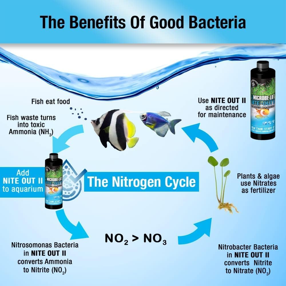 MICROBE-LIFT Nite-Out II Aquarium Bacteria for Start-up, Instantly Cycle Aquariums, Add Fish on Day 1, Rapid Ammonia and Nitrite Reducer for Freshwater & Saltwater Fish Tank, 1 Gallon 2-Pack