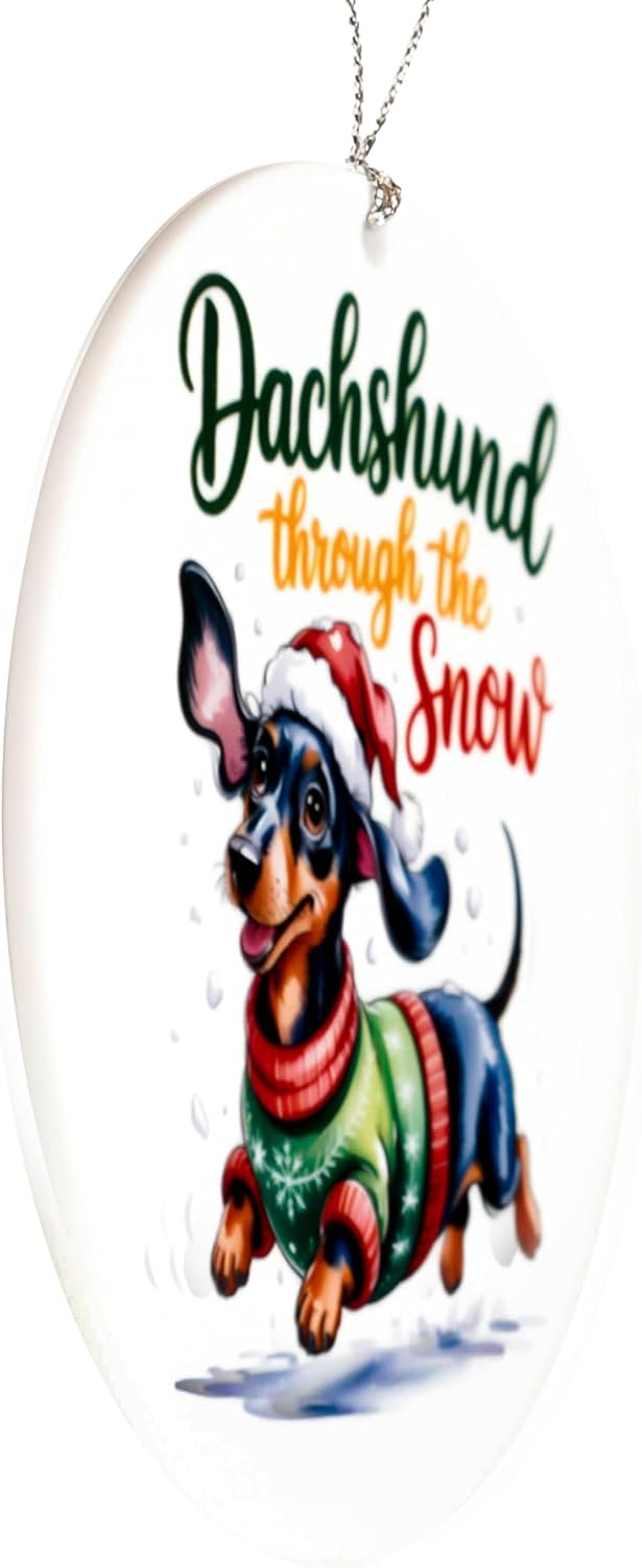 Dachshund Ornament, Weiner Dog Gifts, Dachshund Gifts for Women, Funny Christmas Dachshunds Decor, Wiener Dog Christmas Ornament, Holiday Dogs Lovers Gift Idea, Cute Puppy Decorations for Tree 2025