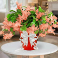2 Salmon Christmas Cactus Plants Live, True Thanksgiving Cactus Live Size 6-9" Inches Tall, Ready to Blooms, Holiday Houseplant, Cold Hardy, Bloom in Winter