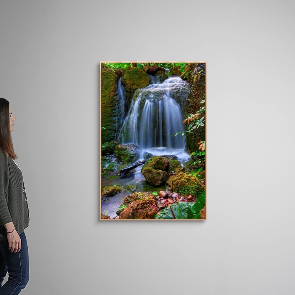 CANVAS ON DEMAND Waterfall in Tropical Rainforest of Fairchild Tropical Gardens, Natural Wood Float Framed Canvas Wall Art Print, Home Decor, Floral, Flowers, Nature Artwork, 32" x48in