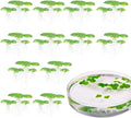36pcs Mini Fake Duckweed, Artificial Floating Duckweed, Plastic Aquarium Simulation Floating Plants for Fish Tank Aquariums Decor,W1xH2