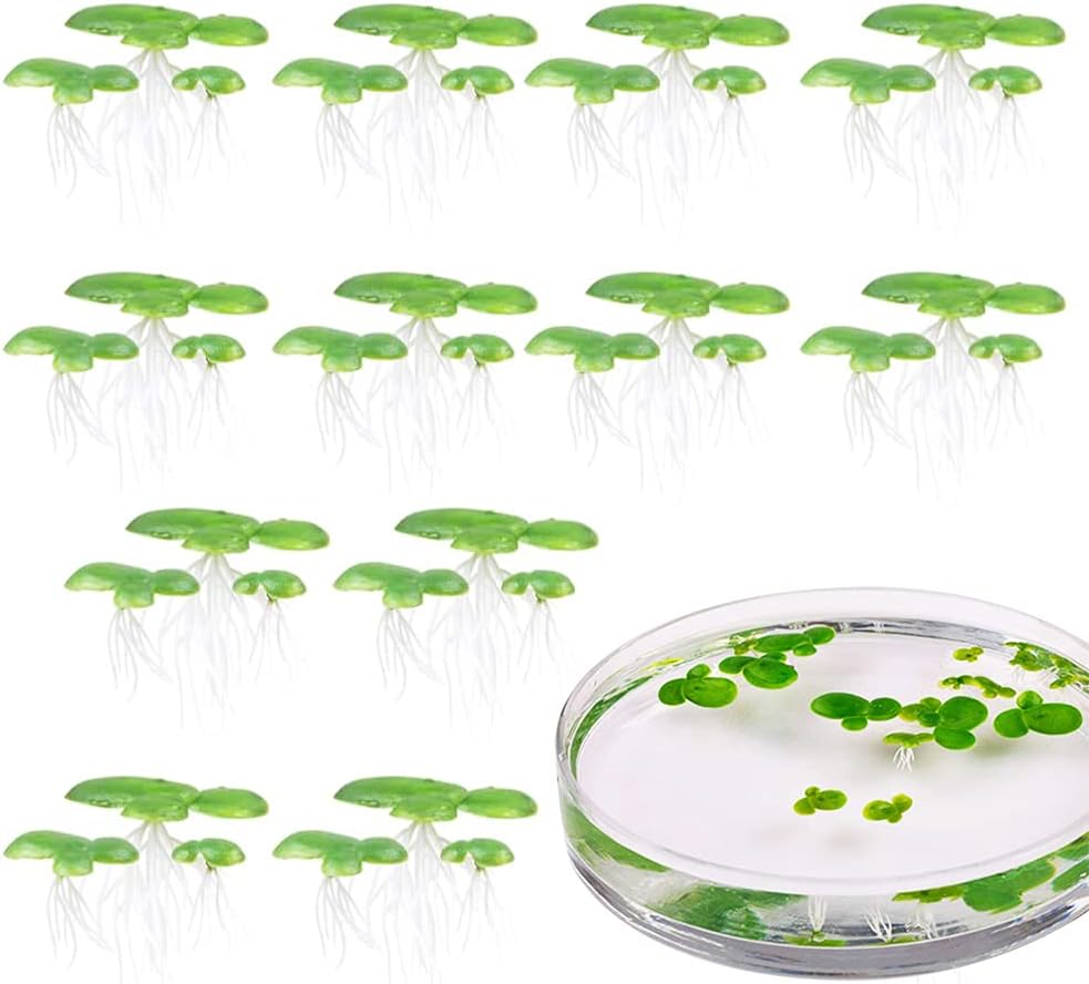 36pcs Mini Fake Duckweed, Artificial Floating Duckweed, Plastic Aquarium Simulation Floating Plants for Fish Tank Aquariums Decor,W1xH2