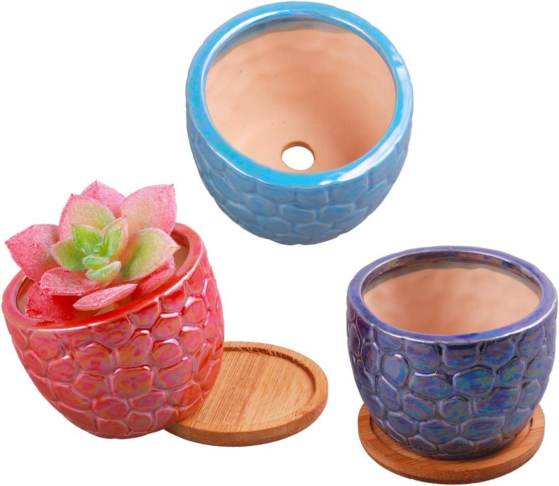 3.5 Inches Ceramic Succulent Planters, Colorful Bonsai Pots for Window Desk Home Decor with Bamboo Trays