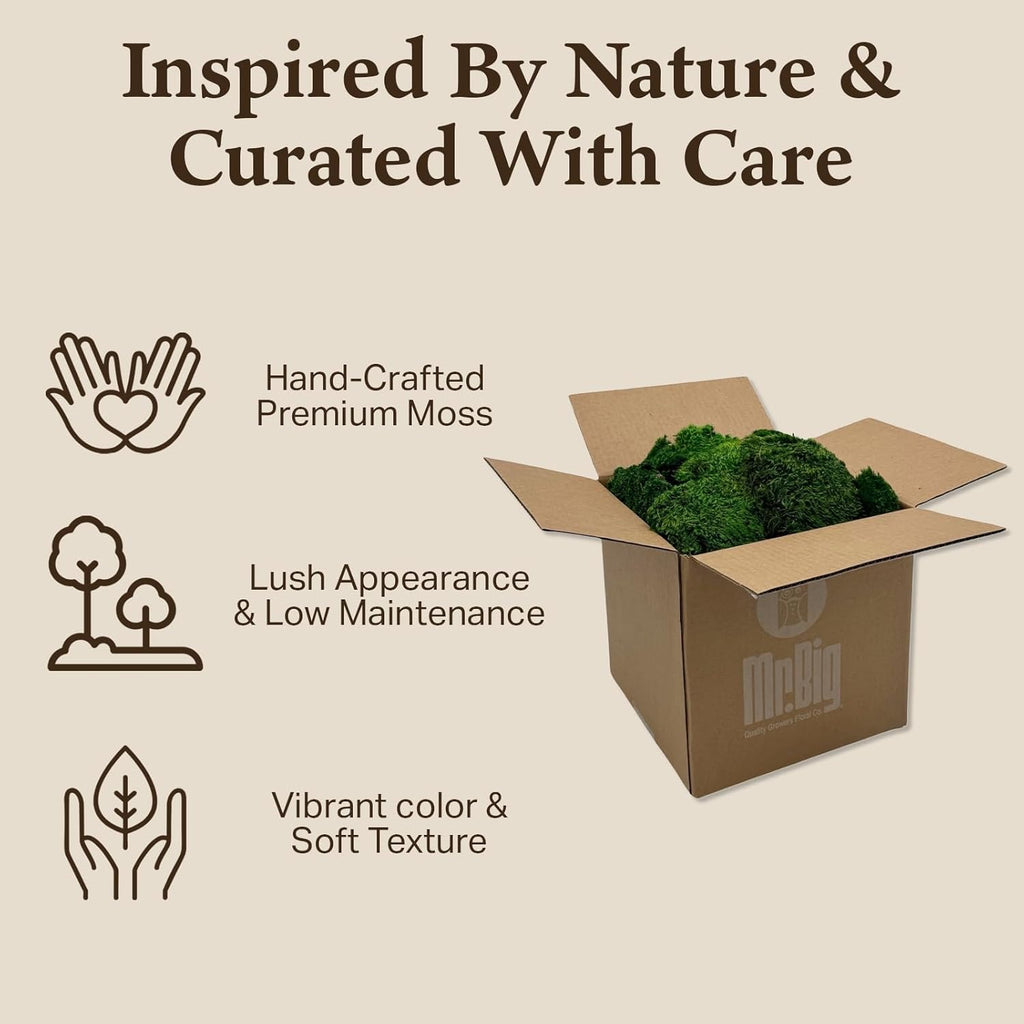 Preserved Mood Moss - Decorative Moss - Dried Moss for Crafts, Home Decor, Art, Design & DIY Projects - For Indoor Use - Natural Green - Standard Box - Covers 4-5 sq. ft.