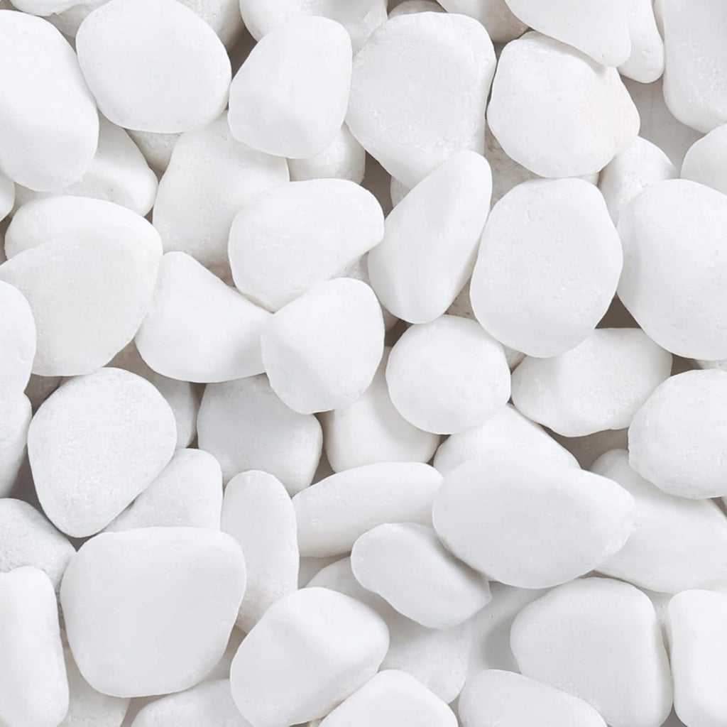 SIDONG 10 lbs White River Rocks, 1.2-2 Inches Matte Pebbles for Indoor Plants, Aquarium Rocks Used in Fish Tank, Decorative Stones for Plants, Vases, Home Décor, Crafting, Garden Landscaping