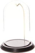 Plymor 4" x 7" Watch/Ornament Glass Display Dome