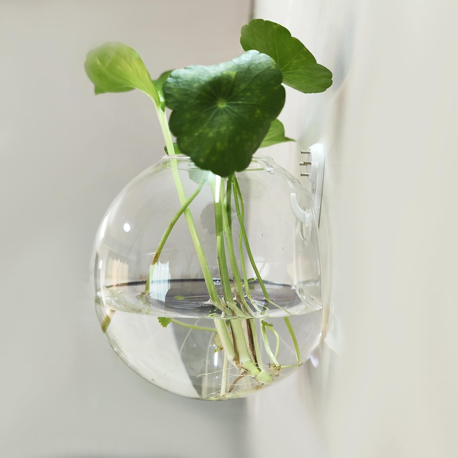 4 Pack Hanging Wall Vases, Glass Hainging Planter Propagation Station Terrarium, 4.7" Globe Wall Planters for Indoor Plants,Home Decor