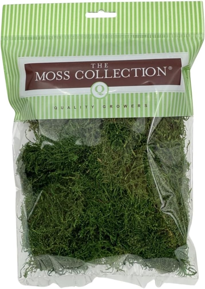 Preserved Sheet Moss - Natural Decorative Moss - Dried Moss for Crafts, Home Decor, Art, Design & DIY Projects - Non-Toxic - Green - Medium