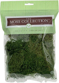 Preserved Sheet Moss - Natural Decorative Moss - Dried Moss for Crafts, Home Decor, Art, Design & DIY Projects - Non-Toxic - Green - Medium