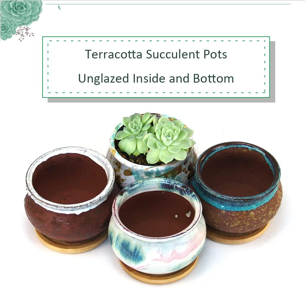 Succulent Pot 4 Inch Hand Glazed Plant Pot Round Ceramic Succulent Planter with Drainage and Saucer Cactus Clay Pot Set of 4