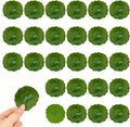 30PCS Artificial Water Lily Leaves,Small Realistic Floating Water Lily Pads, Pond Plant Lotus Leaves Suitable for Fish Tank,Terraces,Pool,Aquarium Decoration(2.32inch)