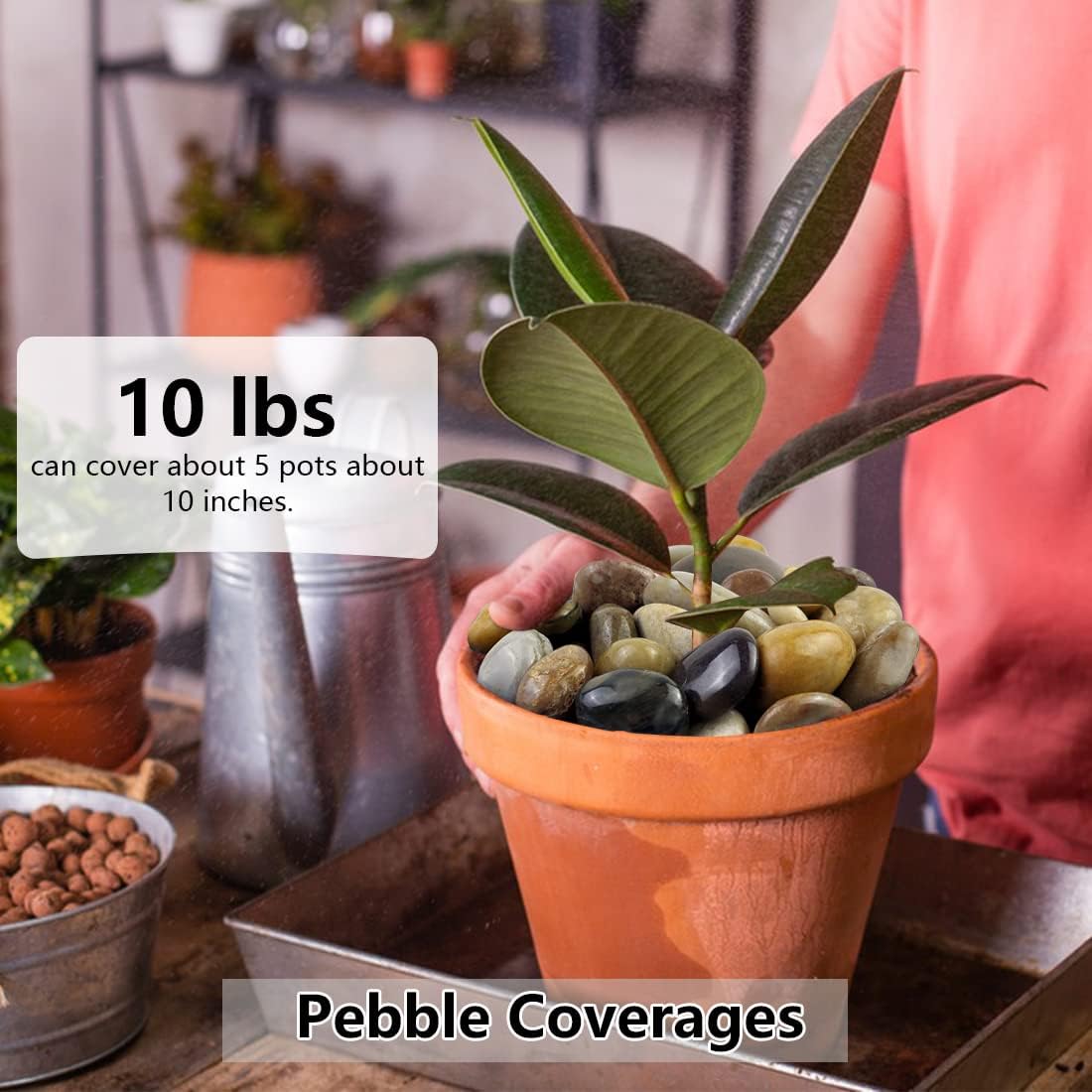 5lbs Pebbles for Indoor Plants, 1-2 Inch Mixed Color High Polished River Rocks Outdoor Decorative Stones Vase Filler Fish Tank Aquariums Landscaping Garden Outdoor and Indoor DIY