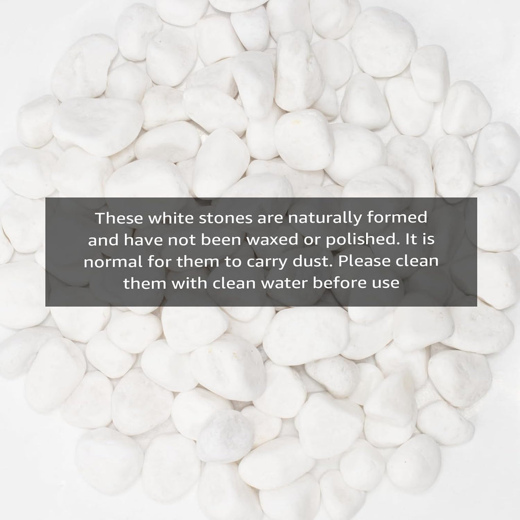 White Natural River Rocks, 1-1.5 Inch Decorative Stones for Plants, Garden, and Landscaping – 10LB, Ideal for Fish Tanks, Vases, Crafting, Home Decor, and Outdoor Landscaping