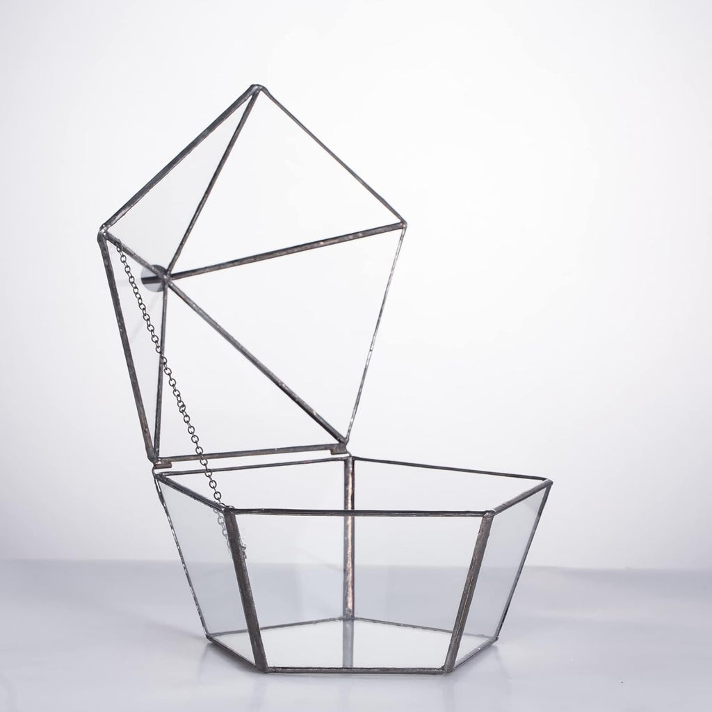 NCYP Modern Clear Glass Jewelry Box with Swing Lid, Geometric Pentagon Shape Terrarium for Succulent Fern, Garden Display Planter Tabletop Decor Centerpiece Container (NO Plants)