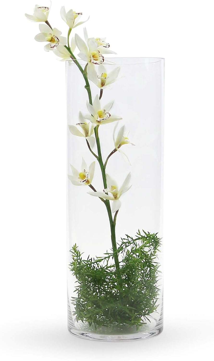 WGV Cylinder Vase, Width 7", Height 20", Clear Wide Large Diameter Flower Glassware, Floral Container, Planter Terrarium for Wedding Party Event, Home Accent Decor, 1 Piece