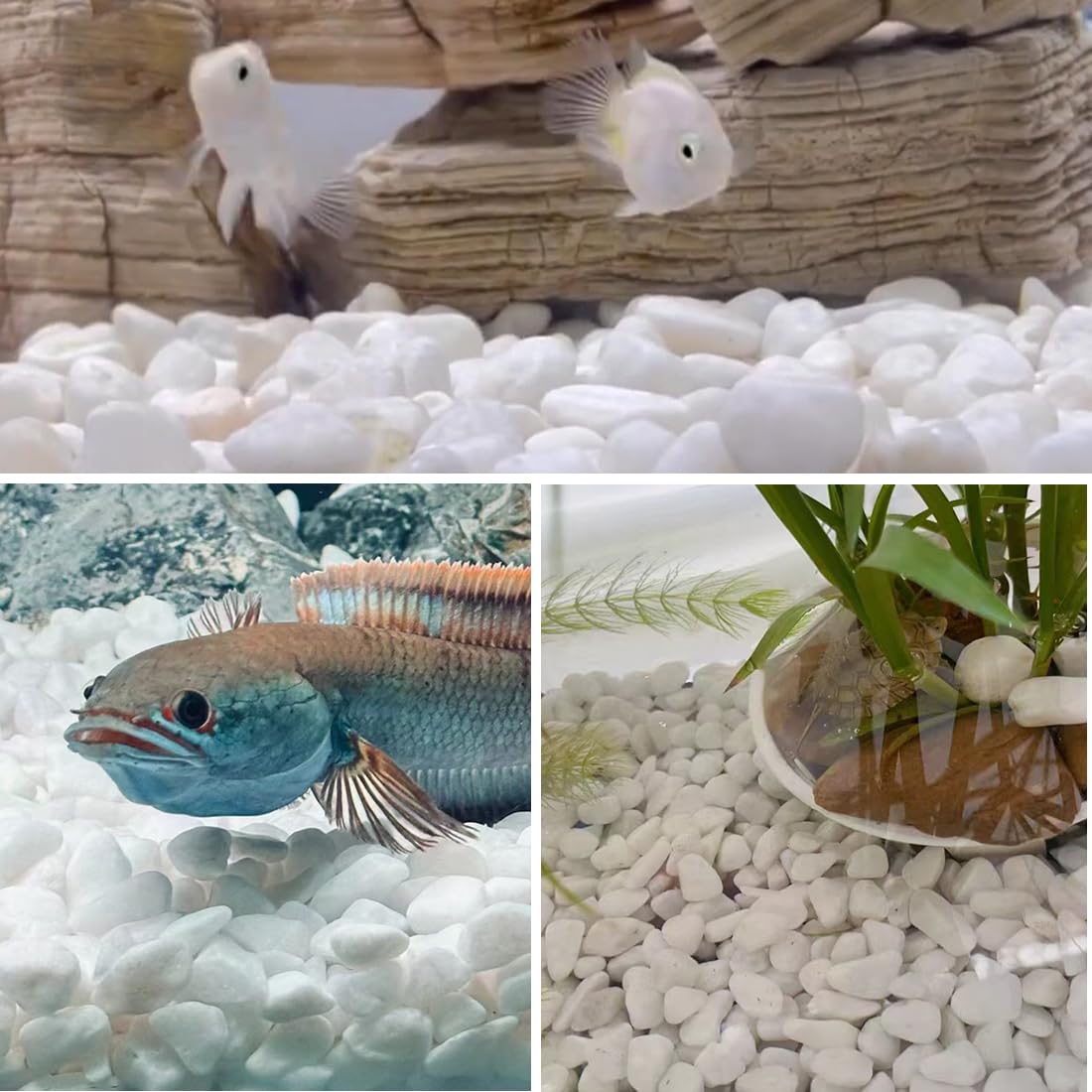40lbs White River Rocks for Landscaping, 1-2 Inch Natural Pebbles for Indoor Plants, High Polished Decorative Stones Garden Outdoor and Indoor DIY Vase Filler Fish Tank Aquariums