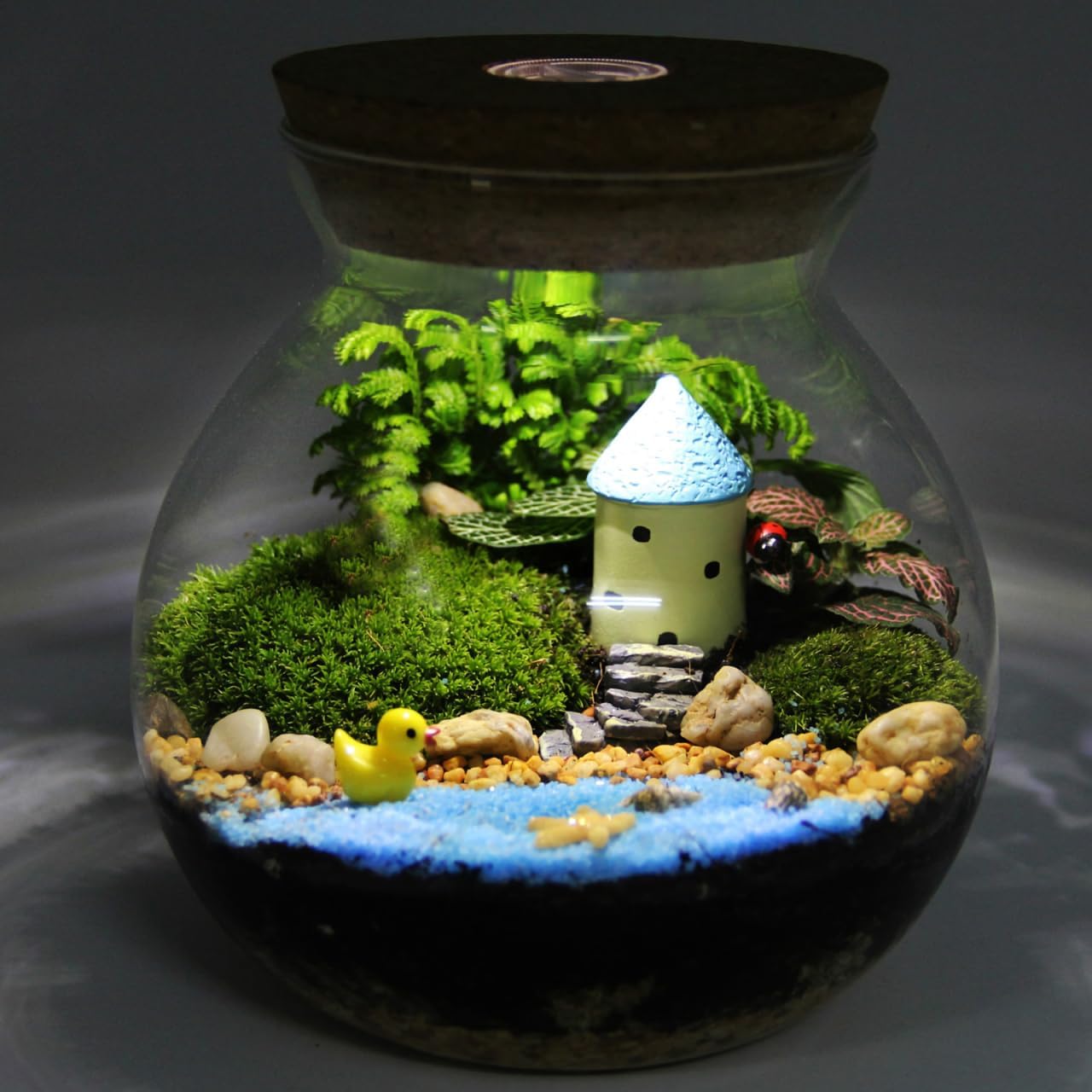 NUOBESTY Round Glass Jars with Cork Lid, Small Glass Cork Bottles with Led Light, Plant Terrarium Display Bottles for Diy, Kitchen Storage Candy Jar for Tea Biscuits Cereals Flour Beans
