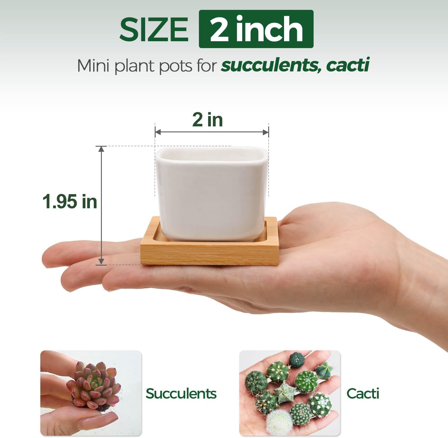 T4U 2 Inch Small White Succulent Planter Pots with Bamboo Tray Square Set of 2, Ceramic Flower Pots Cactus Air PlantContainers,Gardening Plant Gifts for Women, Modern Home and Office Decor