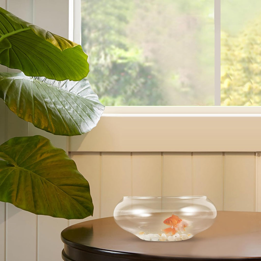 Happyyami Glass Fish Bowl Flower Glass Vase Bowl Clear Wide Mouth Round Vase Terrarium Air Plant Hydroponic Succulent Planter Floral Container Vase for Home Office Wedding S