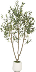 Olive Trees Artificial Indoor, 6FT Tall Faux Olive Tree with White Tall Planter, Artificial Plants with Natural Wood Trunk and Lifelike Fruits for Home Office Decor