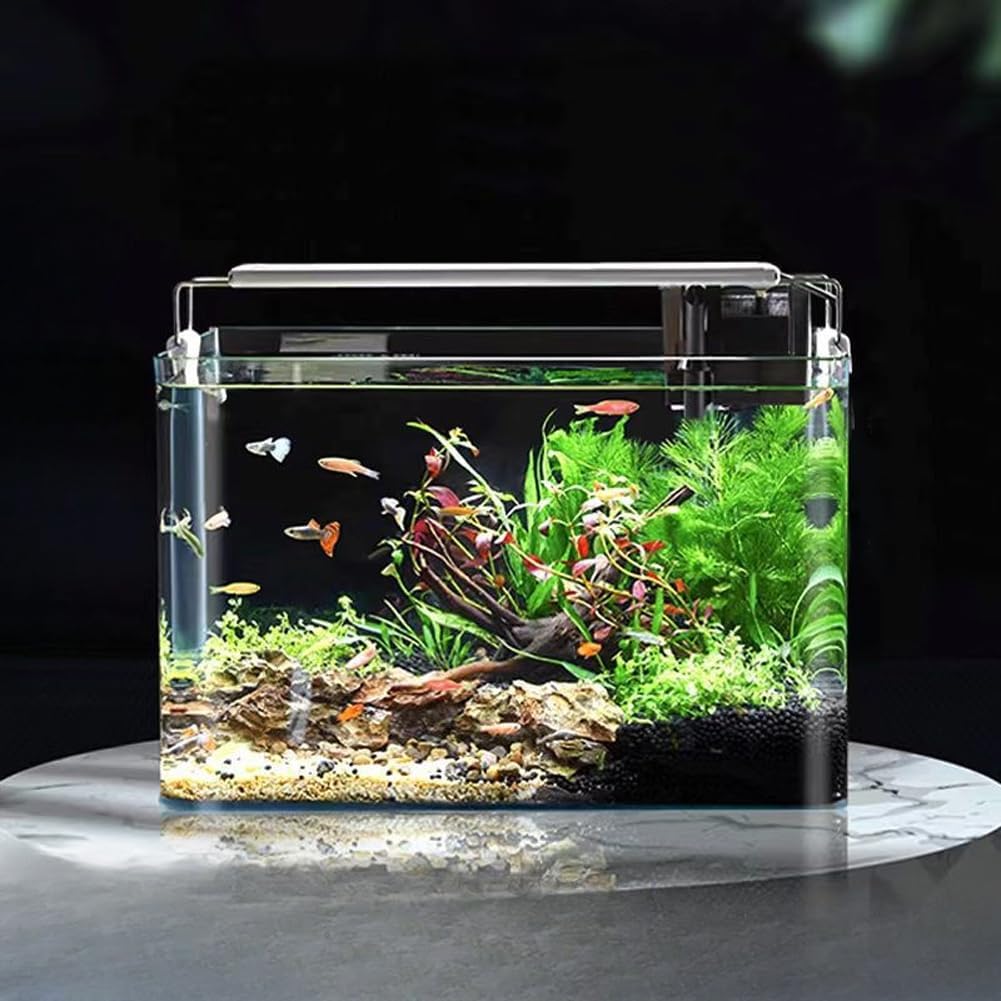 0.9 Gallon Aquarium Fish Tank，Rimless Aquarium Tank，7.1" L × 5.1" W × 5.9" H