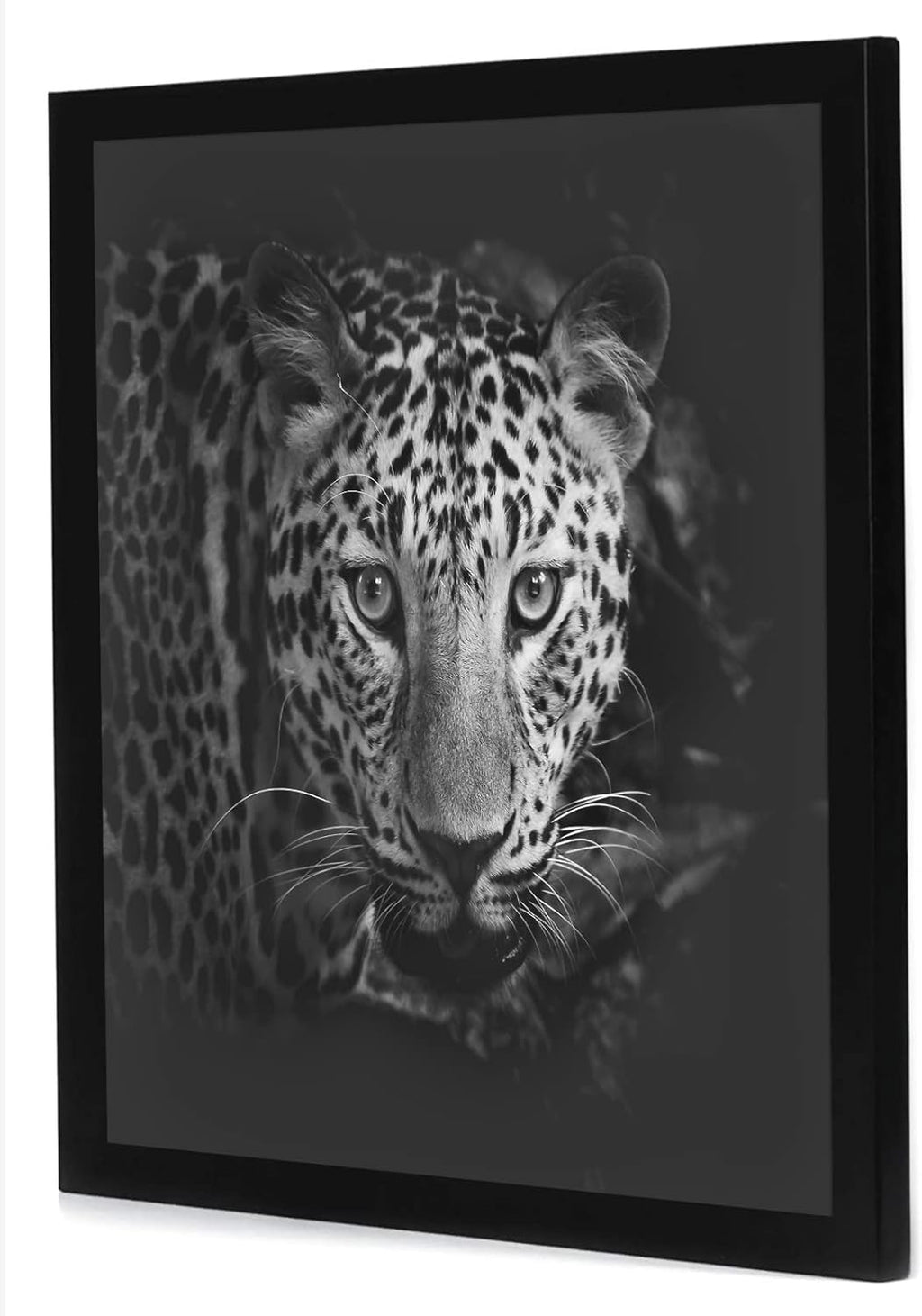 Americanflat 17x17 Picture Frame with Polished Plexiglass - Epic Collection - Square Picture Frame with Engineered Wood - Wide Photo Frames for Wall display - Black