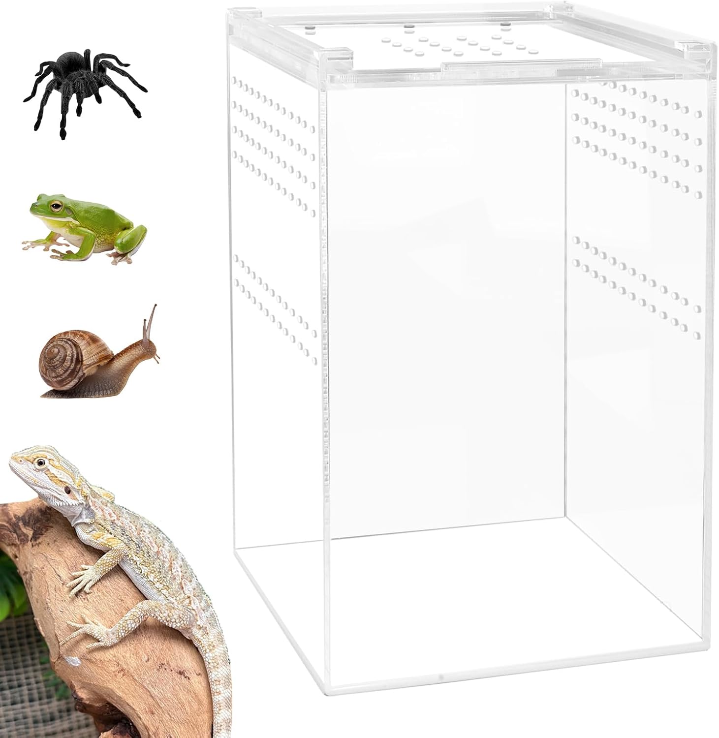 Jumping Spider Enclosure with Magnetic Button,6 * 6 * 8" Thickened Tarantula Reptile Enclosure，One-Piece Acrylic Reptile Terrariums for Spider,Praying Mantis,Tarantula,Snail,Isopod Enclosure