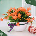Christmas Cactus Plants Live, Thanksgiving Cactus Easter Cactus Like, 4-8 Inc Tall, Cold Hardy, Holiday Cactus for Indoor Outdoor Planting, Starter Size (Orange)