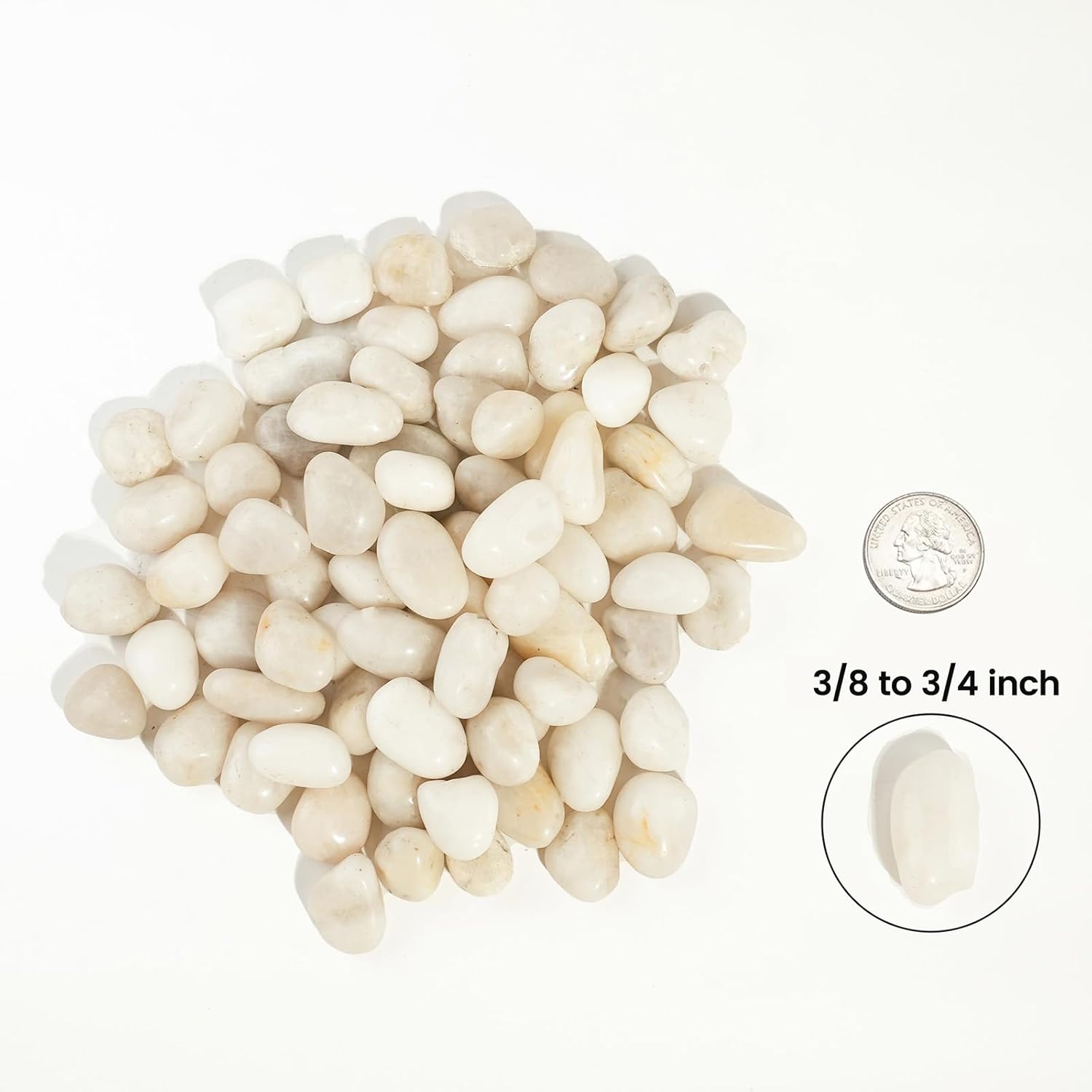 2 LBS River Rocks, StoneCreek, Decorative Garden Stones for Plant Landscaping, Polished Gravel Filler Pebbles for Home Decoration, Vases, Succulents, Flower Beds and Fish Tanks (White, Medium)