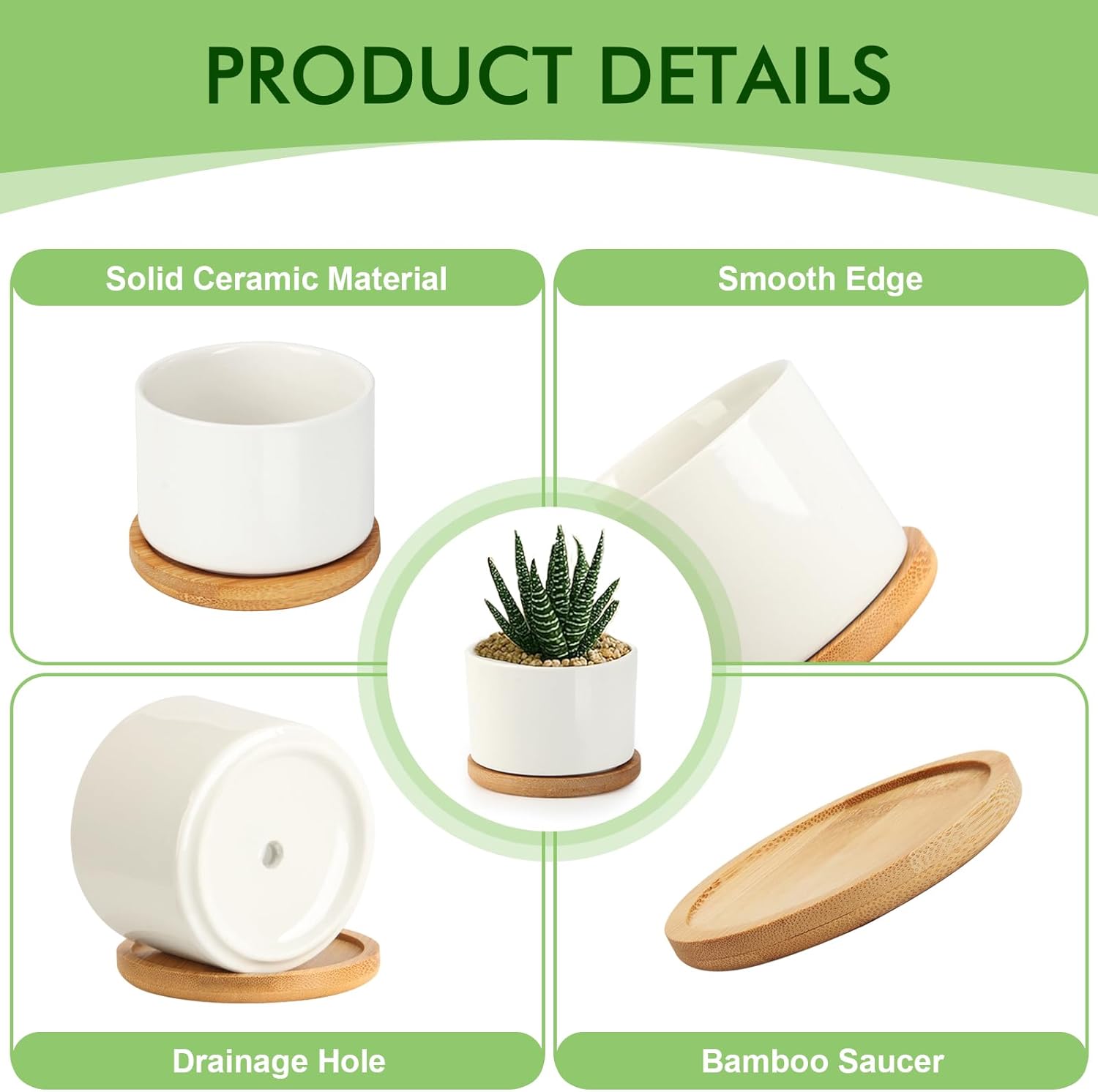 ZOUTOG Succulent Pots 3.1 Inch,Succulent Planters 12 Pack,Small Pots for Plants with Drainage and Tray,White Ceramic Flower Planters for Indoor Plants,Home,Office,Desk