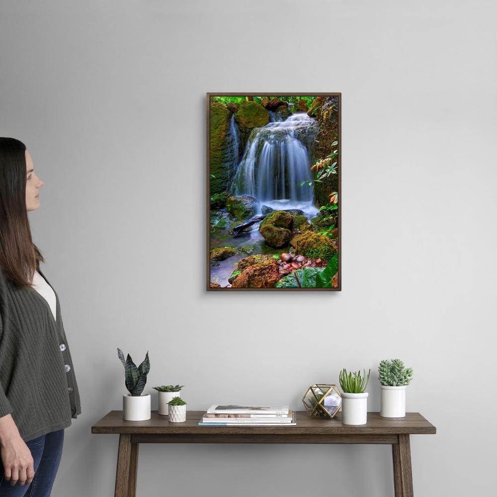 CANVAS ON DEMAND Waterfall in Tropical Rainforest of Fairchild Tropical Gardens, Walnut Float Framed Canvas Wall Art Print, Home Decor, Floral, Flowers, Nature Artwork, 16" x24in