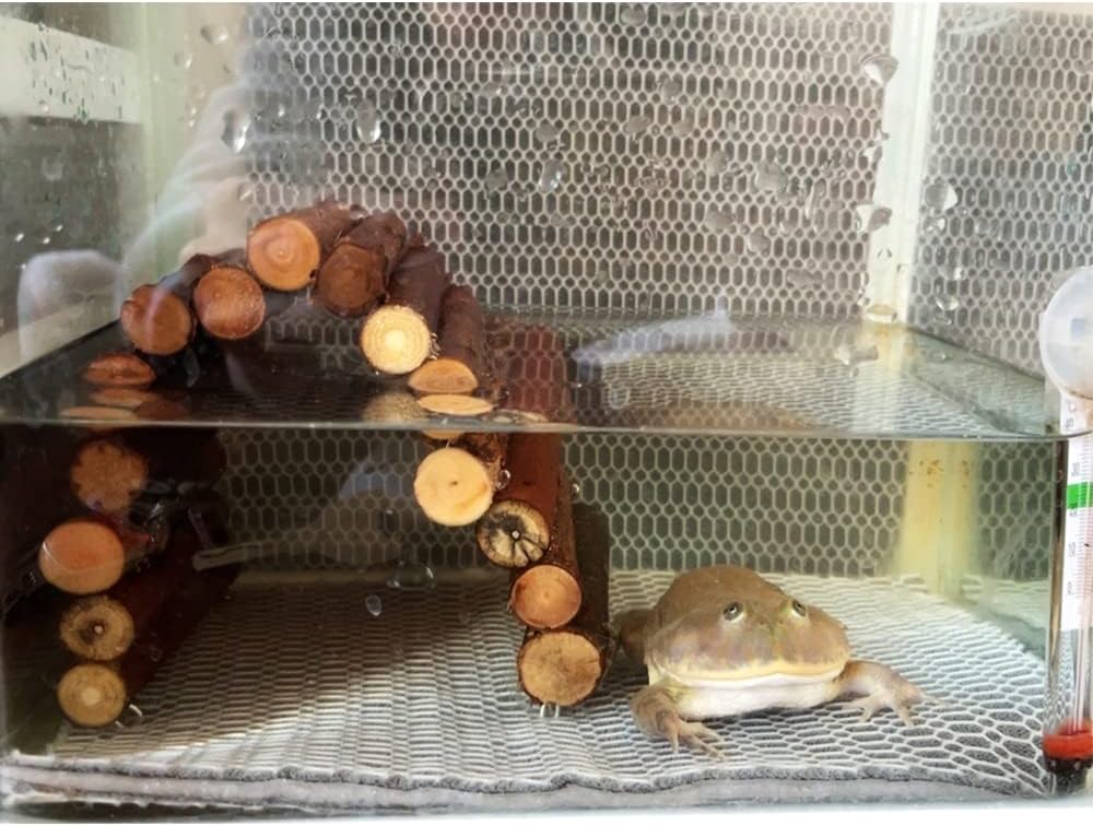 Flushbay Reptile Habitat Décor Hideouts Basking Platform for Aquatic Turtles Critter Cavern Log Hideaway for Tortoise Frog Lizard Bearded Dragon Hides and Caves (Turtle Climbing Platform)