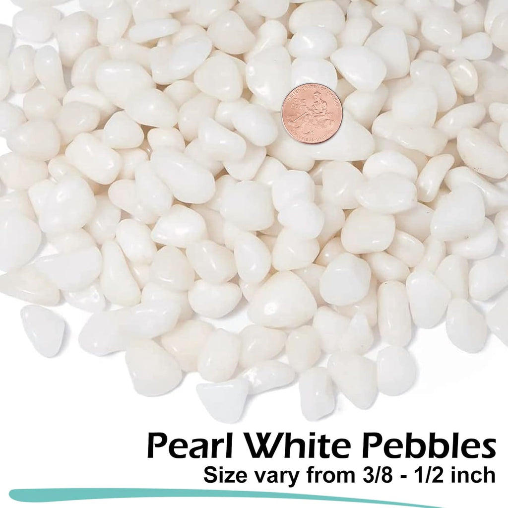 GASPRO 10 lbs White Pebbles for Plants, Vases, and Landscaping in Garden - Highly Polished 3/8" Small Rocks for Indoor and Outdoor Decor