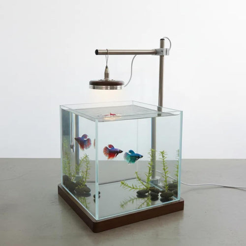 1.8 Gallon Small Fish Tank with LED Light & Wood Stand - 8 Inch Nano Aquarium Betta Tank Starter Kit - Includes Cleaning Tool, Cloth & Mat for Desktop, Office, Bedroom
