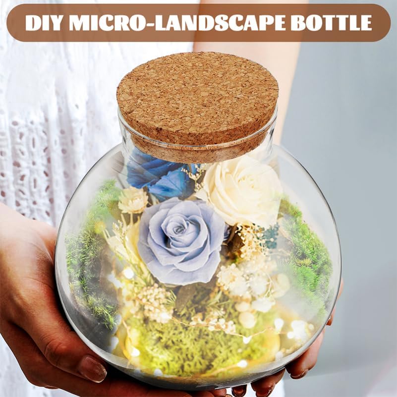 2pcs Round Glass Jar Terrarium Container Ball Succulent Plant Terrarium Buds Vases Easter Candy Jar Message Wishes Bottle with Cork Lid for Plant 15cmx16