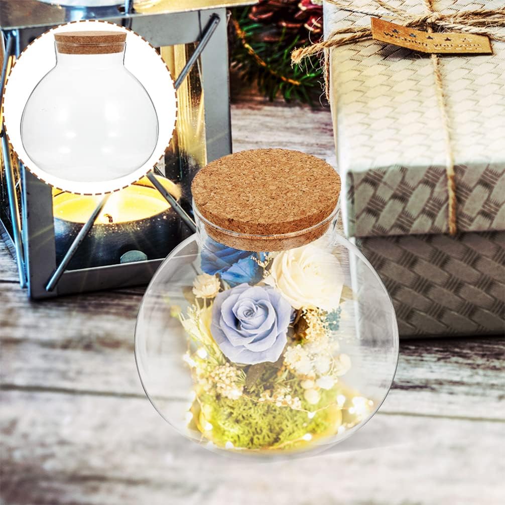 2Pcs Spherical Glass Terrarium Bottles with Cork Lid Clear Airtight Sealed Jars for Micro Landscape Succulent Plants Home Decor 5.11 Inch