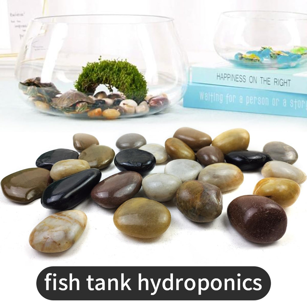 5LB Mixed Color River Rocks - 2-3 inch High Polished Decorative Pebbles, Stones for Landscaping,Natural River Rocks for Outdoor Décor, Plants,Vase Filler,Fish Tank
