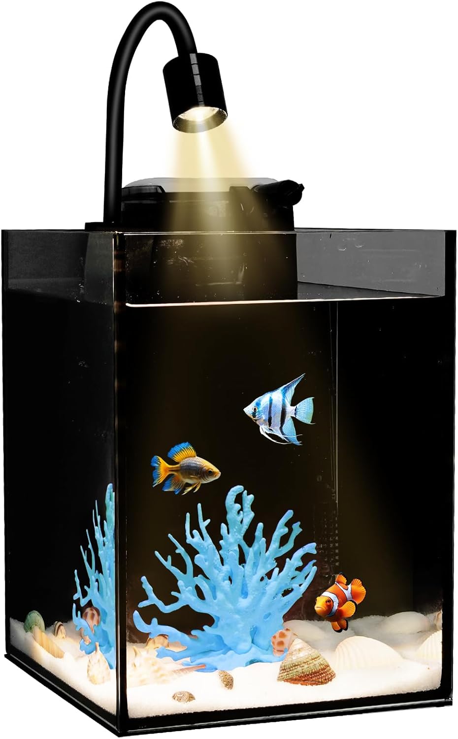 DIY Aquarium Masterpiece Kit - Create Your Own Unique Ocean Aquascape with Natural Shells, Vibrant Corals, RGB Color Lights, Filter, Pump and 1.2Gal Cube Rimless Tank