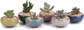 T4U 2.5 Inch Small Ceramic Succulent Planter Pot with Drainage Hole Set of 6, Ice Crack Glaze Plant Container for Cactus, Gardening Plant Gifts for Women Mom Aunt Home Office Decor