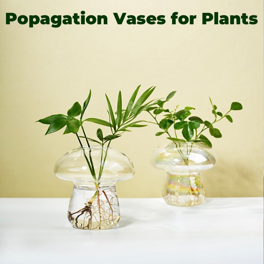 Wall Hanging Mushroom Vase, Small Plant Propagation Stations Cute Mushroom Glass Planter Terrarium Indoor Hydroponic Flower Holder for Elegant Home Decor Gifts, Clear, 2 PCS