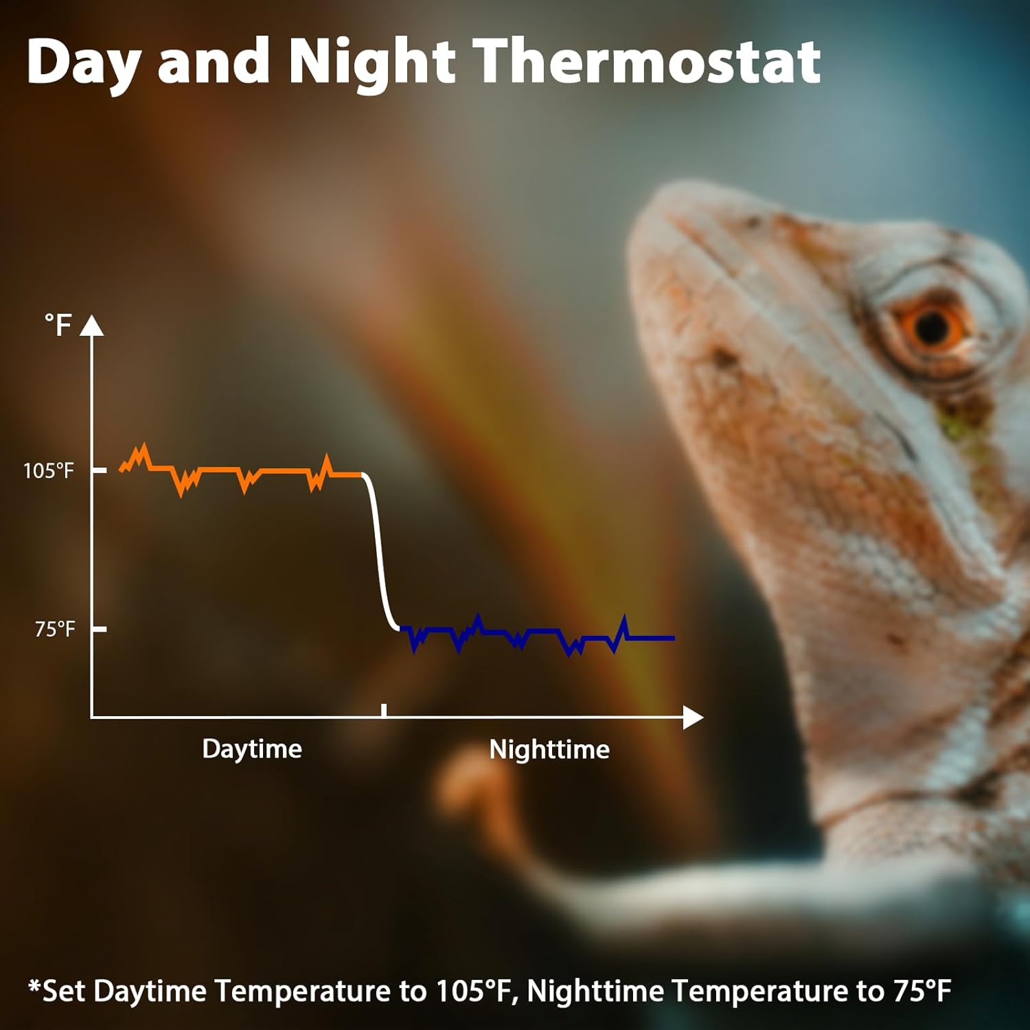 Reptile Dimming Thermostat, Adjustable Day and Night Temperature, Thermostat for Reptile Heat Lamp Heat Pad, PID Temperature Controller, Memory Function, ℉/℃