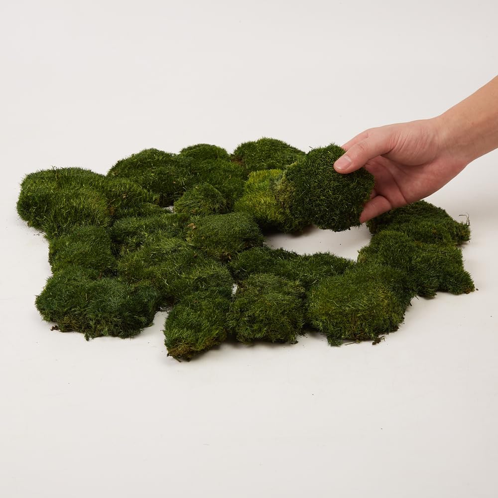 Preserved Pole Moss Pillow Bun Cushion Natural Green Decorative Real Natural DIY Kit Terrariums Garden Art Wall Florist Easter Wedding Decor (1.5 sq.ft., Green-A)