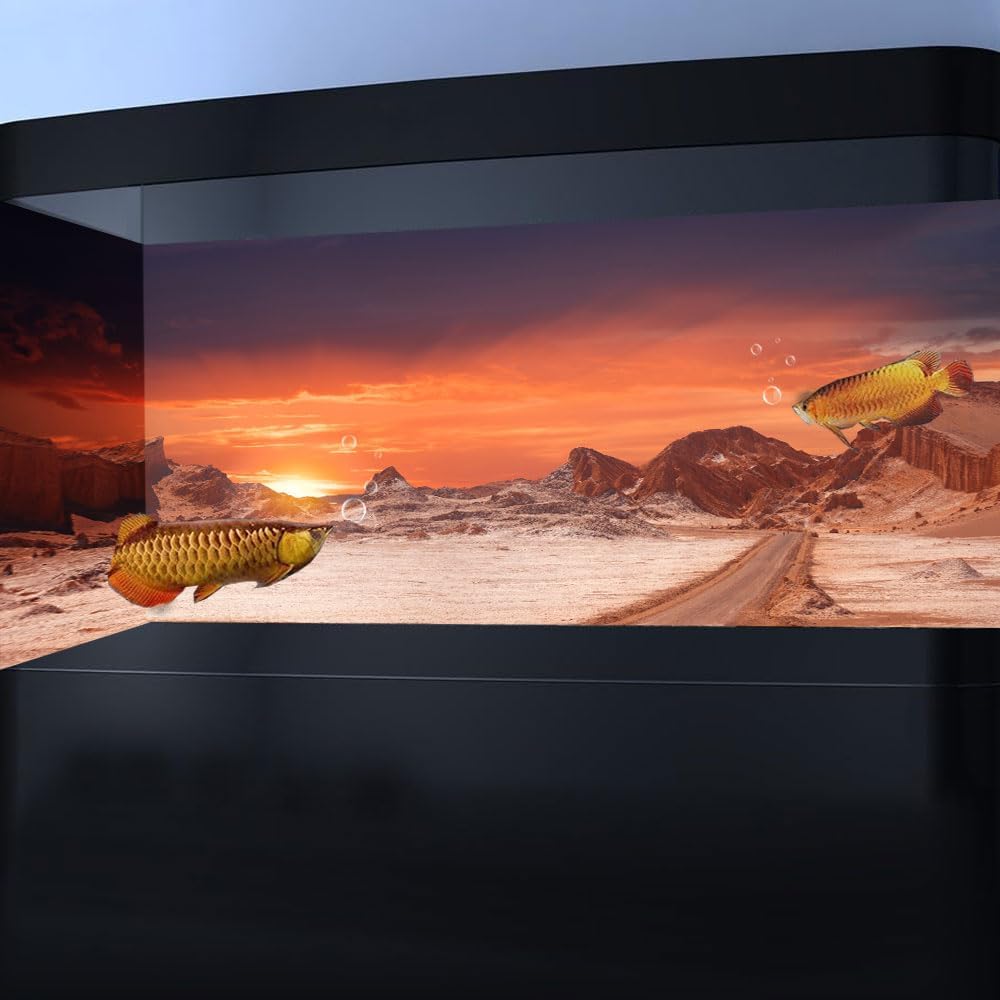 60X24IN Sun and Desert Moon Themed Reptile Habitat on Orange Durable Decorative Background, Terrarium Background with 10EVA Double-Sided Tape