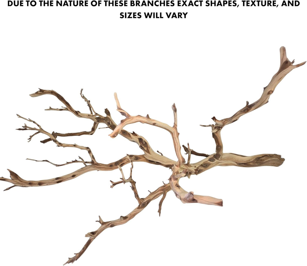 Koyal Wholesale California Driftwood with Natural Brown Branches, 36-Inch Large Driftwood Decor